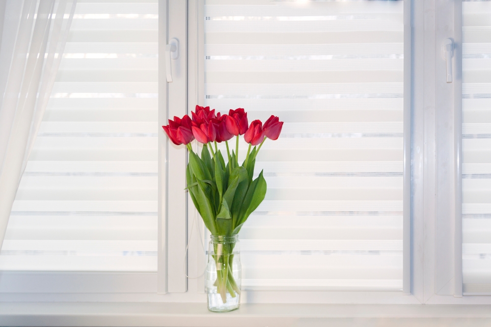 Installation and Maintenance of Roller Blinds as Art
