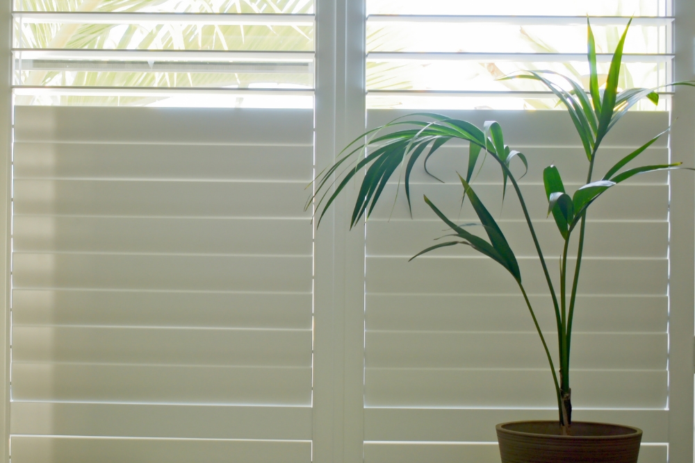 What are Plantation Shutters?