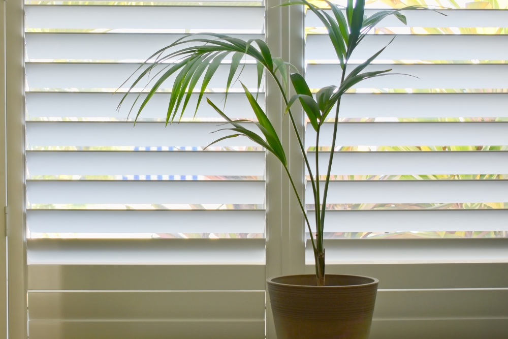 Elevate Your Home Aesthetics with the Impact of Blinds and Shutters on Interior Design
